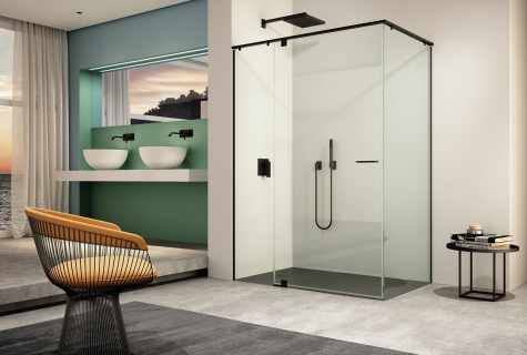Glass shower cabin: device, materials and parts